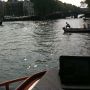 #popupborrel #zamiboot
