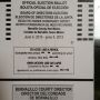 "To vote use a pencil" says the MRGCD absentee ballot. Dislike.