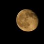 The  moon peachy gold, early this morning 28/4/13 #moonwatch #wonders