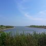 Rund um das Kronenloch wird es allmählich auch grün. #Dithmarschen #Speicherkoog #Nordsee 