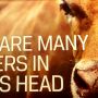 There are many wonders in a cow's head - Icelandic saying