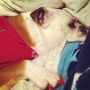 Her nails match her coat! #rose #thefattoddler
