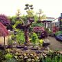 Tuin bij ouders staat goed erbij.