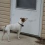 hmmmm momma hiding something in the garage.... I can smell them.............