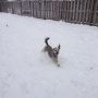 Hi Del. My daughter lives in Marion, IN. Lots of snow there lately. #WX @ctf1964 @RunnerGal23 @cataulagawx @wx0pix 
