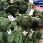 @MaschaPrins schildpadjes! Kom je er eentje adopteren? 