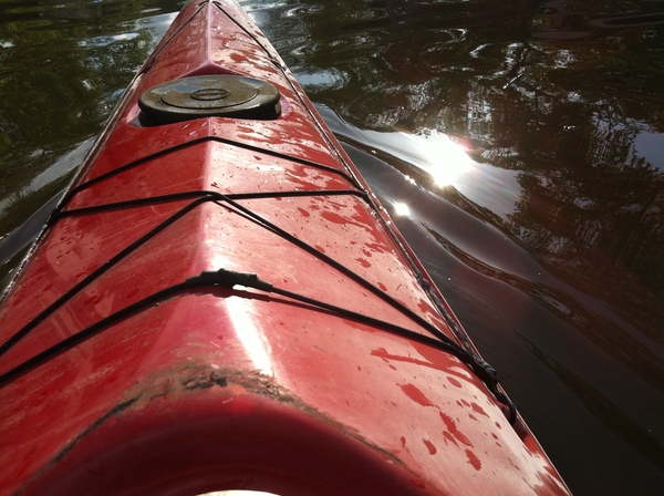 reflection