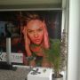 First P&G beauty presentation is by Max Factor, hyper tropicality