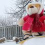 here's @the_beardoctor trying snowboarding! #snowday